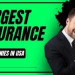 USA’s Top Business Insurance Companies for Small & Large Enterprises